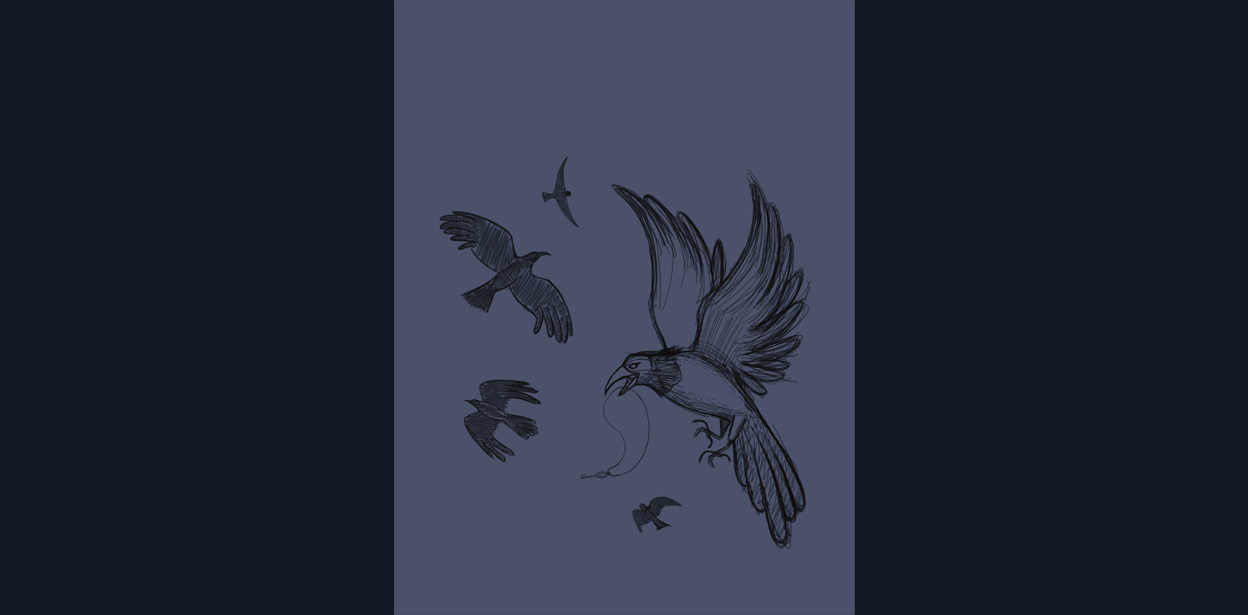 Portifa Sketch